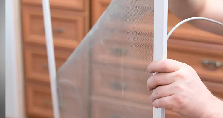Privacy Mesh Screen Door Installation in Daly City, CA